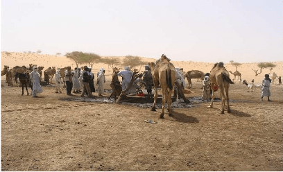 Bulletin de surveillance sur le Niger. Février-Mars 2019