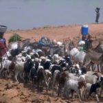 Bulletin bimestriel de suivi de l’impact de la COVID19 sur les ménages pastoraux et agropastoraux – Numéro Spécial – Mai-Décembre 2020