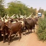 Bulletin de surveillance pastorale sur le Niger – Décembre 2020 - Janvier 2021