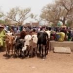 Bulletin bimestriel de suivi de l’impact de la COVID19 sur les ménages pastoraux et agropastoraux – Janvier-Février 2021