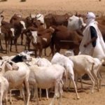 Bulletin de Surveillance Pastorale en Mauritanie Février-Mars 2021