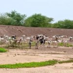 Bulletin de surveillance pastorale sur les régions de l'Est, du Sahel et du Centre-Nord – Burkina Faso – Avril-Mai 2021