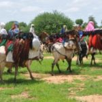 Bulletin bimestriel de suivi de l’impact de la COVID19 sur les ménages pastoraux et agropastoraux – Mai-Juin 2021