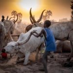 Bulletin bimestriel de suivi de l’impact de la COVID19 sur les ménages pastoraux et agropastoraux – Juillet-Aout 2021