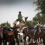Bulletin de surveillance pastorale sur le Niger – Avril-Mai 2022