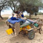 Bulletin bimestriel de la surveillance pastorale au Sahel Avril-Mai 2022