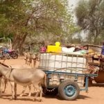 Bulletin de surveillance pastorale de la zone agropastorale du Ferlo (Sénégal) – Avril-Mai 2022