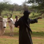 Bulletin de surveillance pastorale sur le Niger – Juin-Juillet 2022
