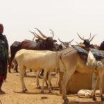 Bulletin bimestriel sur la veille informative et d’alerte sur les conditions des ménages pastoraux et agro-pastoraux – Septembre-Octobre 2022