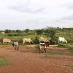 Rapport d’analyse de production de biomasse en 2023 sur le Burkina Faso