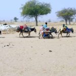 Bulletin de surveillance pastorale sur le Niger – Février-Mars 2024