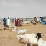 Bulletin bimestriel de la surveillance pastorale sur le Sahel Avril-Mai 2024