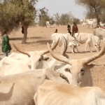 Bulletin de surveillance pastorale sur le Sénégal – Février-Mars 2026